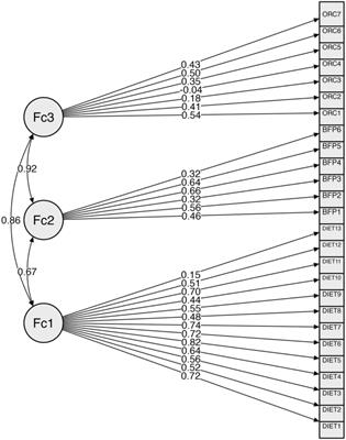 Assessing the factor structure of the Eating Attitude Test-26 among undergraduate students in Malaysia